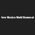 New Mexico Mold Removal