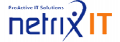 Netrix IT, LLC