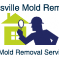 Hinesville Mold Removal