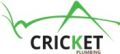 Cricket Plumbing of Doral