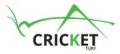 Cricket Turf of Miami Beach