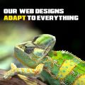 Zoko Digital Web Design