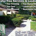 Silverson Tree Services & Landscaping - Clearwater