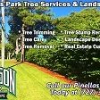 Silverson Tree Services & Landscaping - Pinellas Park