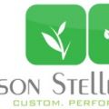Jason Stelle Consulting