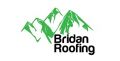 Bridan Roofing