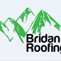 Bridan Roofing Loveland