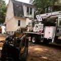 Tree removal, commercial landscaping