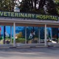 Veterinary Associates Stonefield