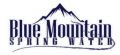 Blue Mountain Delivery