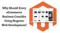 Why Should Every eCommerce Business Consider Using Magento Web Development?