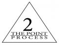 2 The Point Process