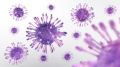 Historic Discovery in Herpes Treatment Options Threatens To Be Buried By COVID-19 Pandemic