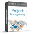 Top Benefits of Using Professional and Robust Project Management Tool