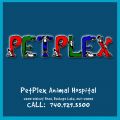 PetPlex Animal Hospital