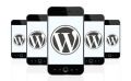 Building WordPress Mobile Apps? Check Out These Solutions to Common WordPress Issues
