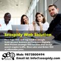 Seospidy develop, design, and manage websites and Market your e-business