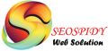 SEOSPIDY offers dynamic web solutions and development ideas