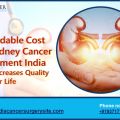 Affordable Cost Of Kidney Cancer Treatment India Will Increases Quality of Your Life