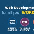 Web Design and Development Services | Website Development USA