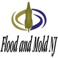 Flood and Mold NJ