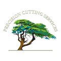 Precision Cutting Services - Tree Removal