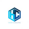 HAMAID Consulting - Digital Marketing Consultant