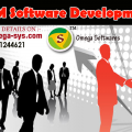CRM software development
