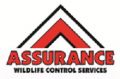 Assurance Wildlife Control
