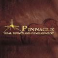 Pinnacle Real Estate & Dev Inc