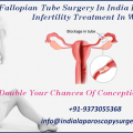 Fallopian Tube Surgery In India For Successful Infertility Treatment In Women