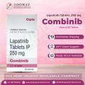 Combinib 250mg Lapatinib Tablet For Breast Cancer