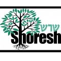 Camp Shoresh