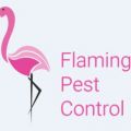 Flamingo Pest Control - St Augustine