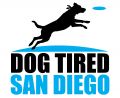 Dog Tired San Diego