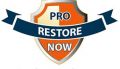 Pro Restore Now