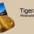 Tigers Eye Mining