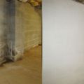The Mold Inspection Company in NJ