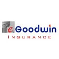 EGoodwin Insurance Agency