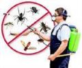 Pest control plainfield NJ