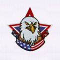 ALL AMERICAN LIBERTY AND FOOTBALL EMBROIDERY DESIGN