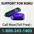 Support for Roku