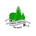 Above Ground Tree and Landscape LLC
