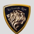 Locksmith Lion