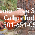 Benton Tree Services