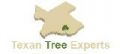 Texan Tree Experts Cypress