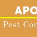 Apopka Pest Control Pros