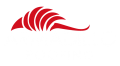 Armadillo Roofing