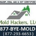 MoldHackers, LLC