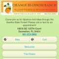 Orange Blossom Ranch